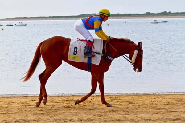 stock image Horse race on Sanlucar of Barrameda, Spain, August 2011