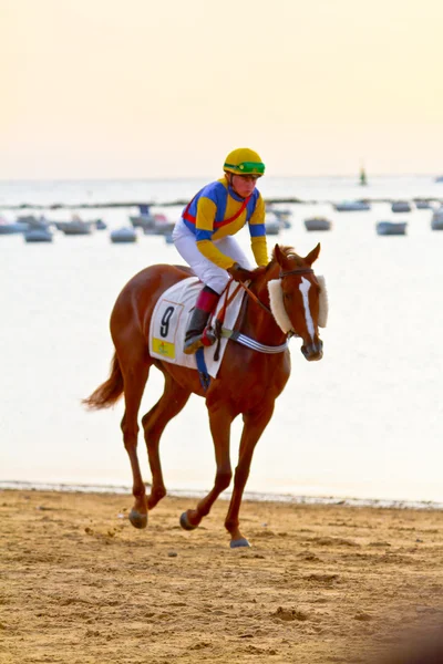 Horse race on Sanlucar of Barrameda, Spain, August 2011 — Stock Photo, Image