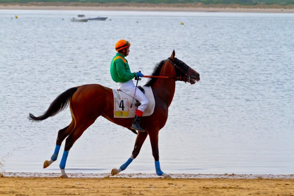 stock image Horse race on Sanlucar of Barrameda, Spain, August 2011