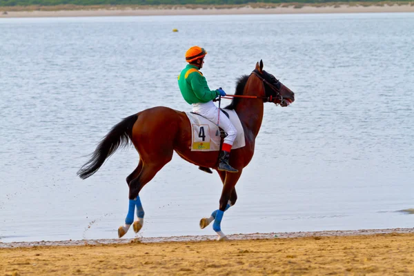 stock image Horse race on Sanlucar of Barrameda, Spain, August 2011