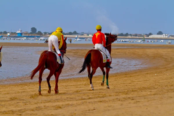 Ιπποδρομία στο Σανλούκαρ Μπαραμέδα, Ισπανία, Αυγούστου 2011 — Φωτογραφία Αρχείου