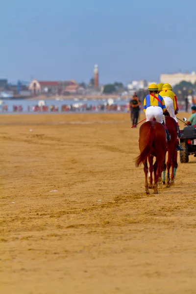 Corrida de cavalos em Sanlucar de Barrameda, Espanha, Agosto de 2011 — Fotografia de Stock