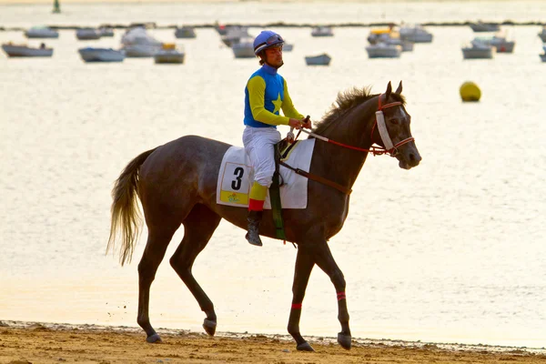 Corrida de cavalos em Sanlucar de Barrameda, Espanha, Agosto de 2011 — Fotografia de Stock