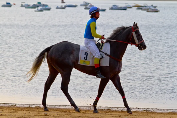 stock image Horse race on Sanlucar of Barrameda, Spain, August 2011