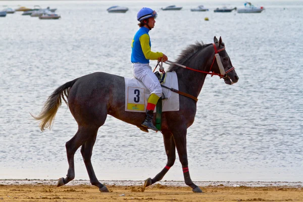 stock image Horse race on Sanlucar of Barrameda, Spain, August 2011