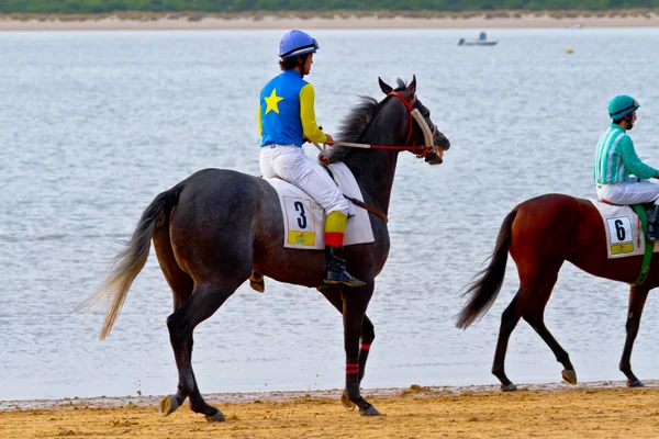 Course de chevaux sur Sanlucar de Barrameda, Espagne, août 2011 — Photo