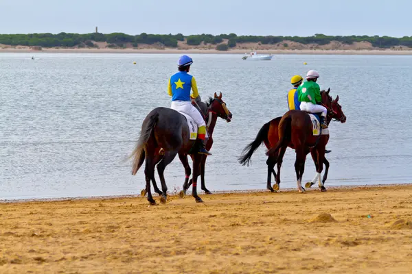 at yarışı sanlucar barrameda, İspanya, Ağustos 2011 tarihinde