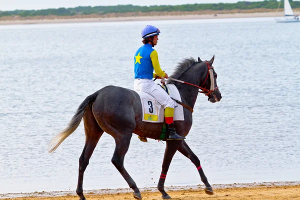 stock image Horse race on Sanlucar of Barrameda, Spain, August 2011