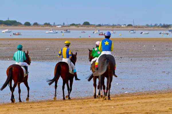 Corsa di cavalli a Sanlucar di Barrameda, Spagna, agosto 2011 — Foto Stock