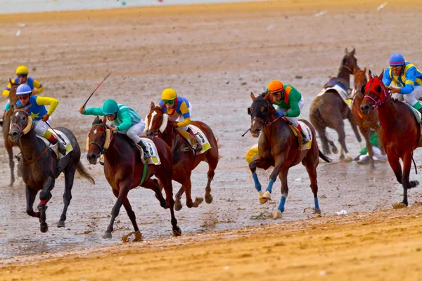 stock image Horse race on Sanlucar of Barrameda, Spain, August 2011