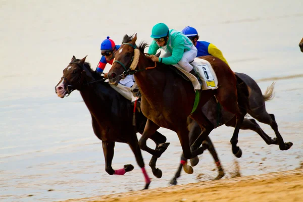 サンルカル バラメダ, スペイン, 8 月 2011 年の上の馬のレース — ストック写真