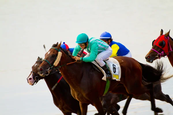 サンルカル バラメダ, スペイン, 8 月 2011 年の上の馬のレース — ストック写真
