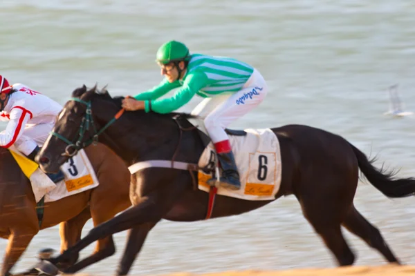 Horse race op sanlucar de barrameda, Spanje, augustus 2008 — Stockfoto