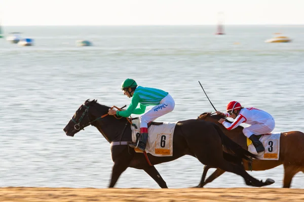 Horse race on Sanlucar of Barrameda, Spain, August 2008 — Stock Photo, Image