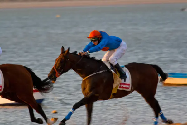 stock image Horse race on Sanlucar of Barrameda, Spain, August 2008