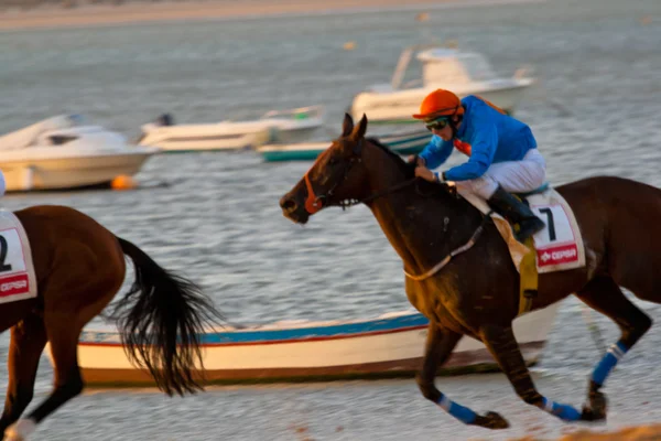 stock image Horse race on Sanlucar of Barrameda, Spain, August 2008