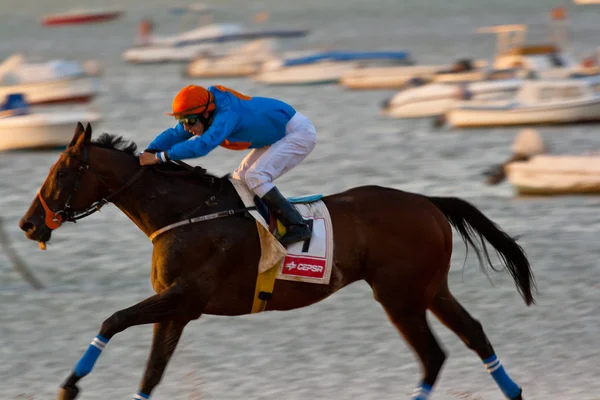 stock image Horse race on Sanlucar of Barrameda, Spain, August 2008