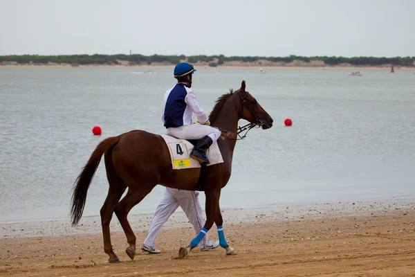 stock image Horse race on Sanlucar of Barrameda, Spain, August 2010