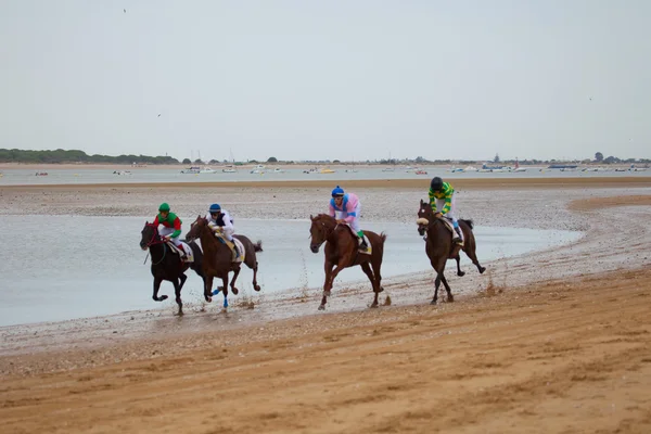 Коні гонки на Sanlucar Barrameda, Іспанія, Серпень 2010 року — стокове фото