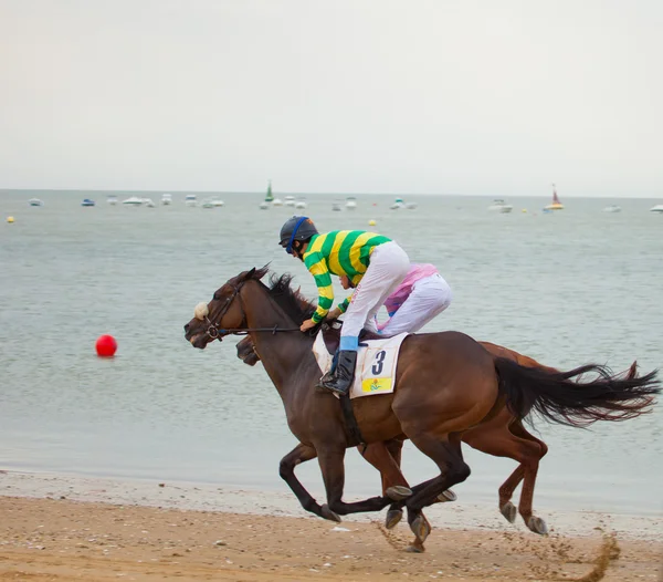 stock image Horse race on Sanlucar of Barrameda, Spain, August 2010