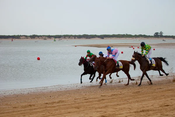 Corsa di cavalli a Sanlucar di Barrameda, Spagna, agosto 2010 — Foto Stock
