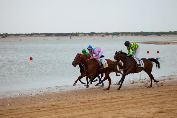 Horse race op sanlucar de barrameda, Spanje, augustus 2010 — Stockfoto