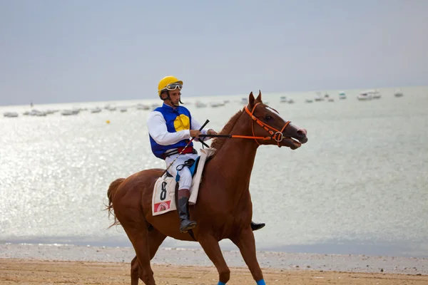 Hestevæddeløb på Sanlucar i Barrameda, Spanien, august 2010 - Stock-foto