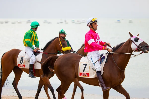 サンルカル バラメダ、スペイン、2010 年 8 月の上の馬のレース — ストック写真
