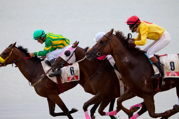 Horse race op sanlucar de barrameda, Spanje, augustus 2010 — Stockfoto