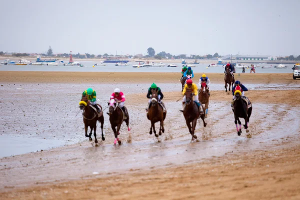 Course de chevaux sur Sanlucar de Barrameda, Espagne, août 2010 — Photo