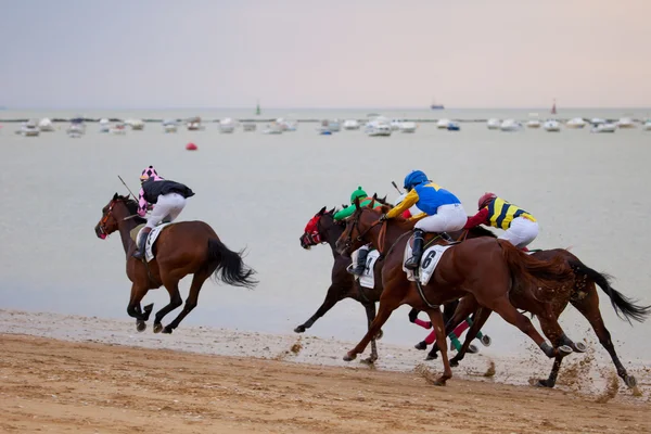 Corrida de cavalos em Sanlucar de Barrameda, Espanha, Agosto de 2010 — Fotografia de Stock