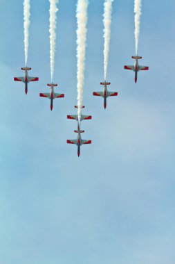 Patrulla Aguila