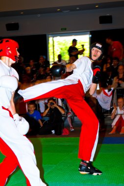 3 Dünya kickboks Şampiyonası 2011