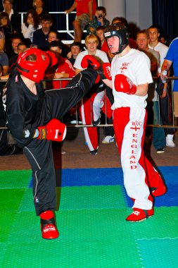 3 Dünya kickboks Şampiyonası 2011