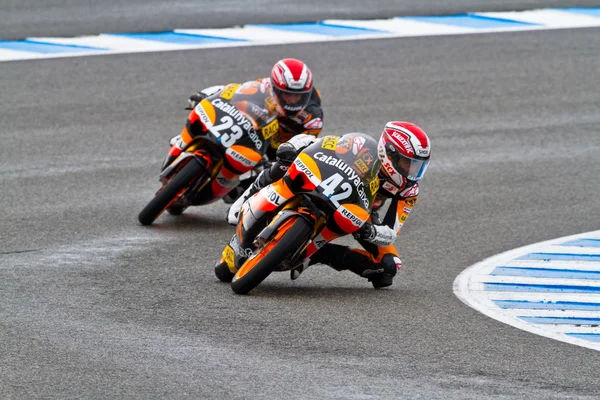 stock image CEV Championship, November 2011