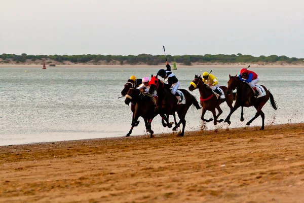 Hästkapplöpning på sanlucar barrameda, spain, augusti 2011 — Stockfoto