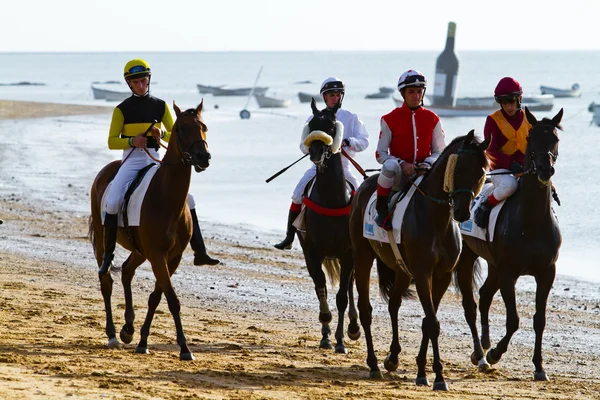 Corrida de cavalos em Sanlucar de Barrameda, Espanha, Agosto de 2011 — Fotografia de Stock