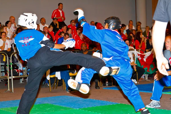 Tercer campeonato mundial de kickboxing 2011 — Foto de Stock