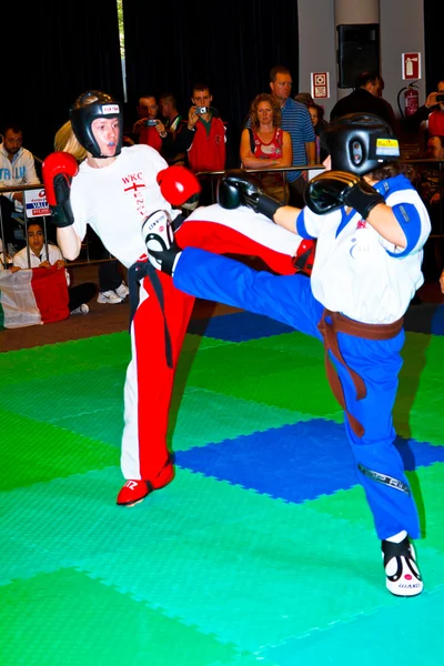 Terzo campionato mondiale di kickboxing 2011 — Foto Stock