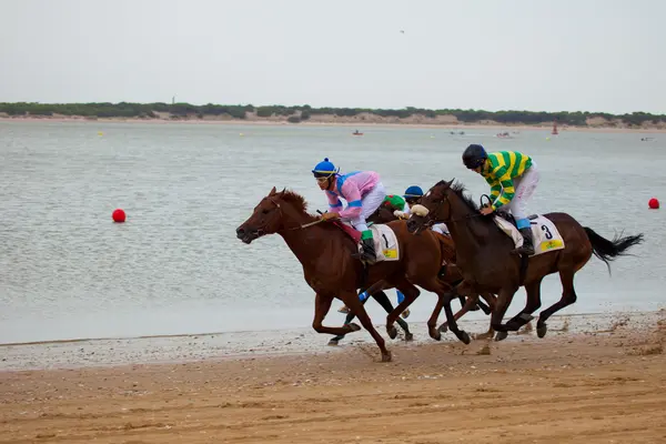 Carrera de caballos en Sanlúcar de Barrameda, España, agosto 2010 — Foto de Stock