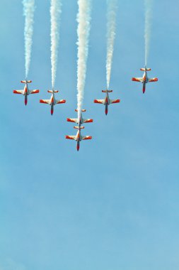 Patrulla Aguila