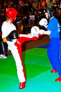 3 Dünya kickboks Şampiyonası 2011