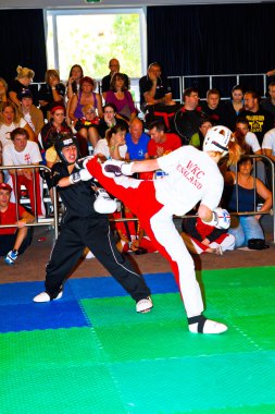 3 Dünya kickboks Şampiyonası 2011