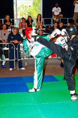 3 Dünya kickboks Şampiyonası 2011