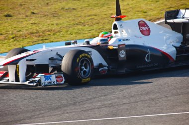 takımı sauber f1, sergio perez, 2011