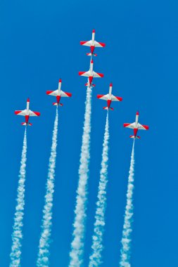 Patrulla Aguila