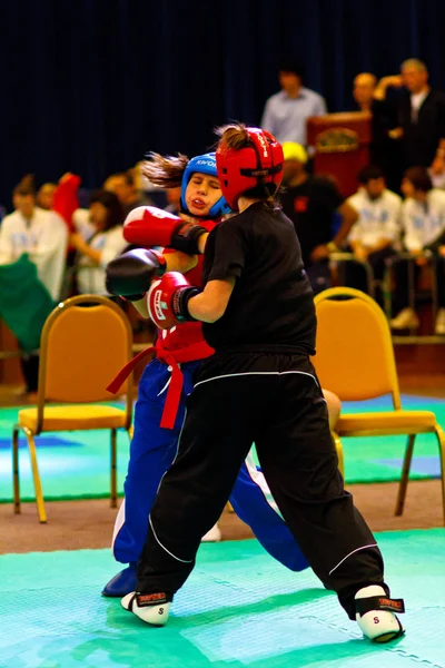 3rd world kickboxing championship 2011 — Stock Photo, Image