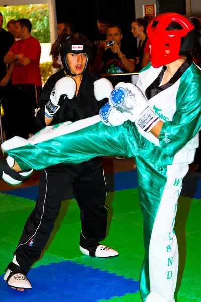 3ème championnat du monde de kickboxing 2011 — Photo