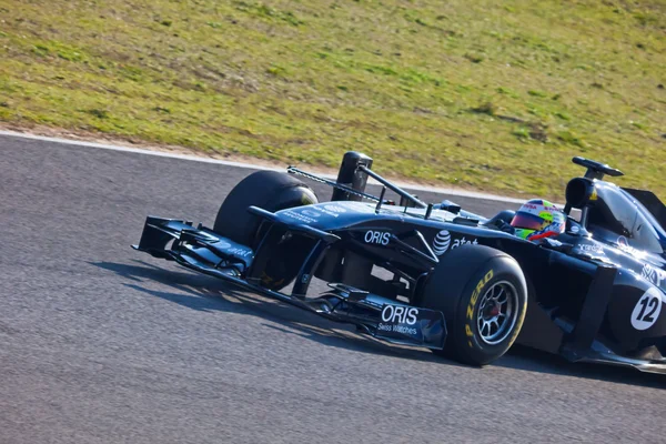 Team Williams F1, Pastor Maldonado, 2011 — Stockfoto