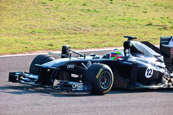 Equipo Williams F1, Pastor Maldonado, 2011 —  Fotos de Stock